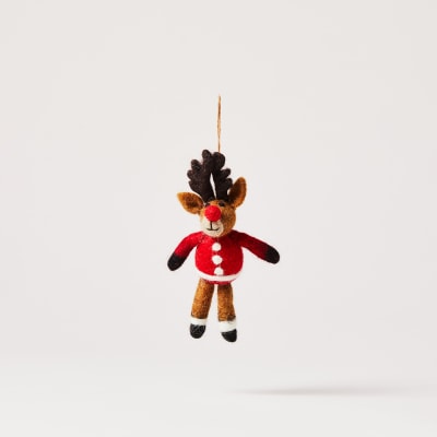 Rudolph in xmas jumper