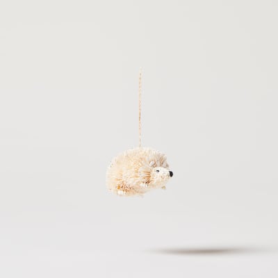 bristle hedgehog