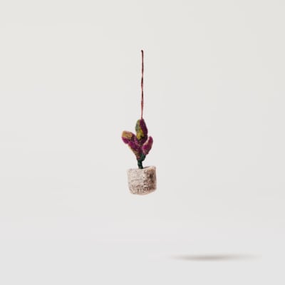 Felt calathea