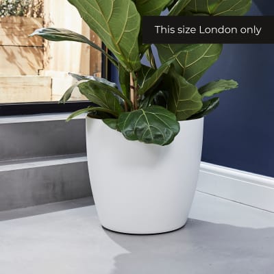 40cm curved edge white