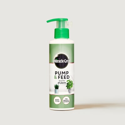 pump and feed