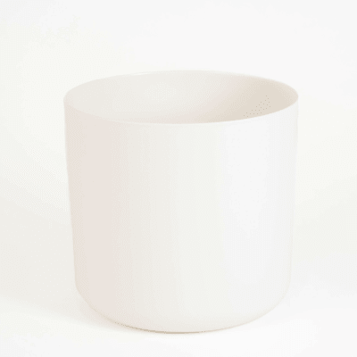 Straight edge in situ collection detail