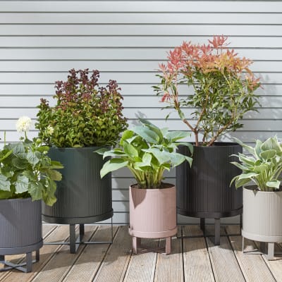 group outdoor
