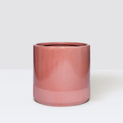 pink dipped pot