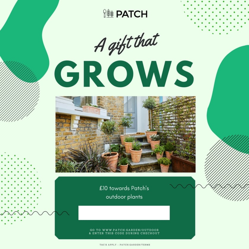 Outdoor Plants Gift Voucher — Vouchers Patch