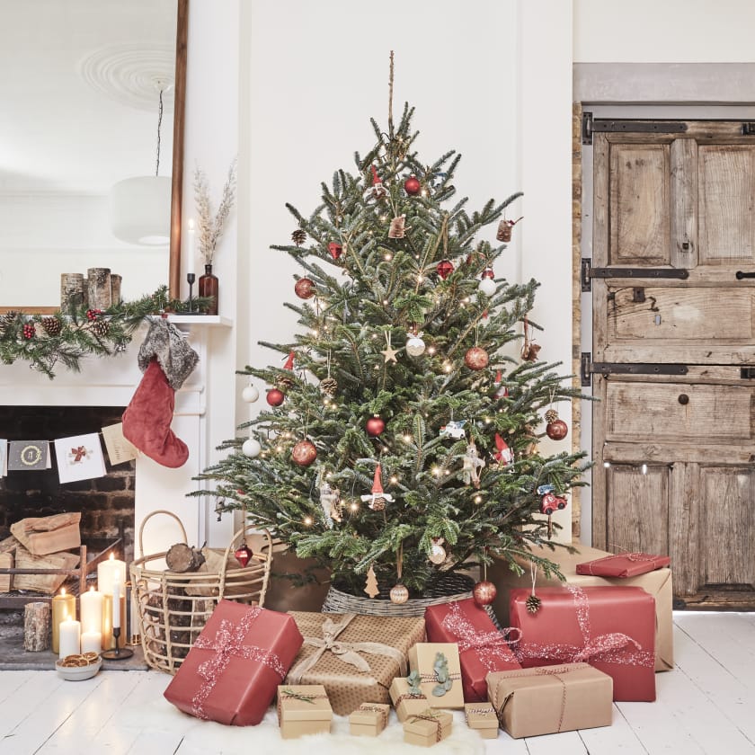 Fraser Fir Christmas Tree — Christmas-trees | Patch