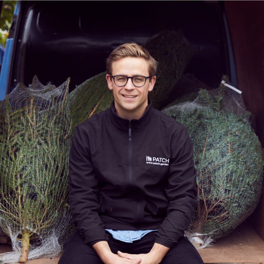 Christmas tree collection