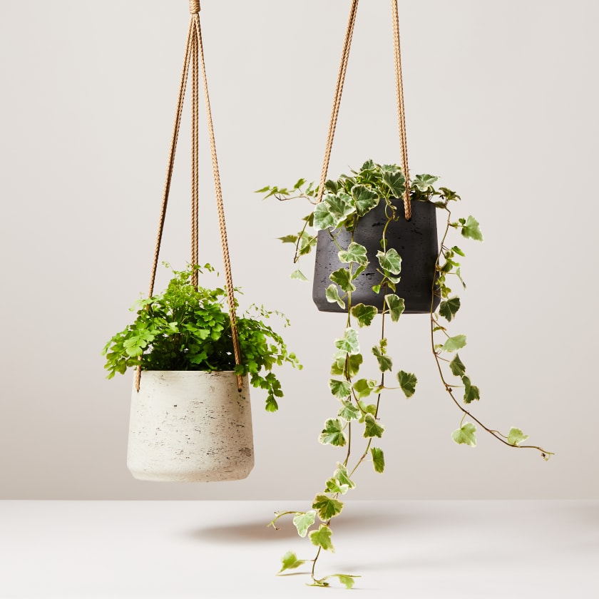 Clay hanging pot — Pots | Patch