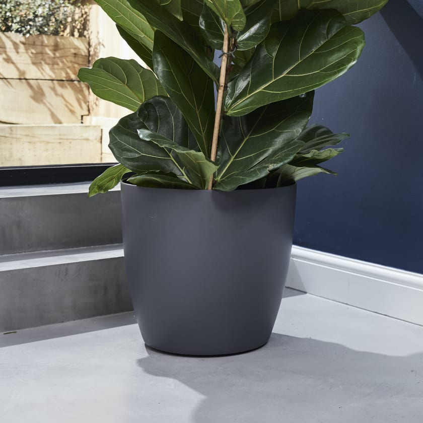 Curved edged pot