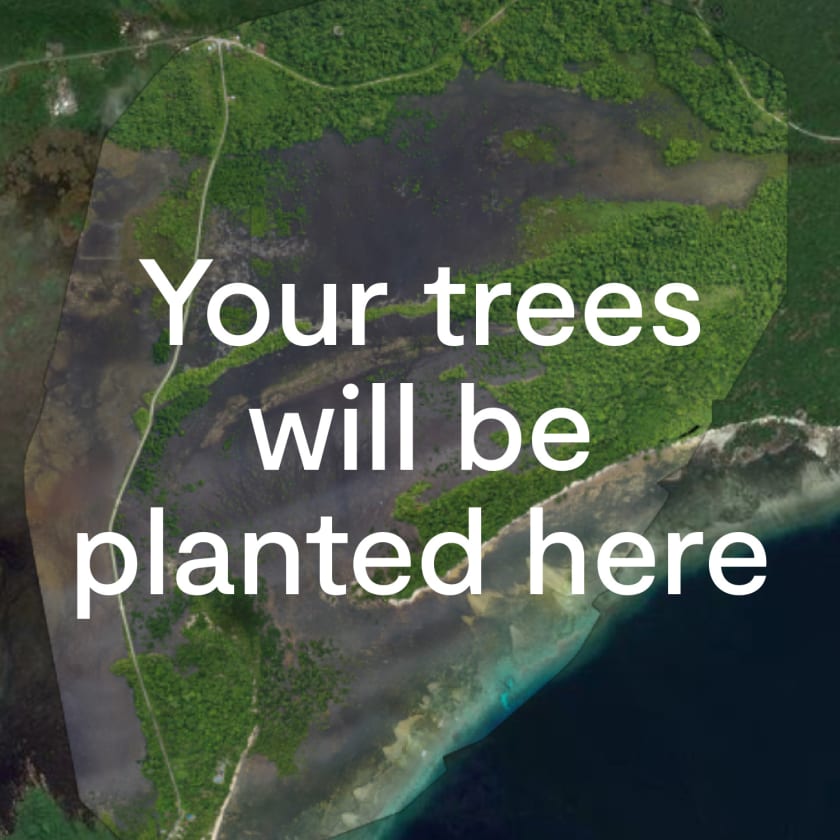 Drone map