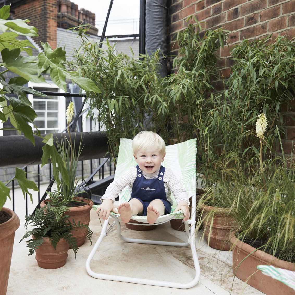Child and pet safe outdoor plants | Patch