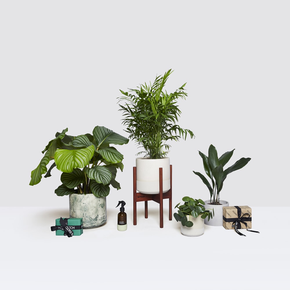 Corporate gifts and company gifts