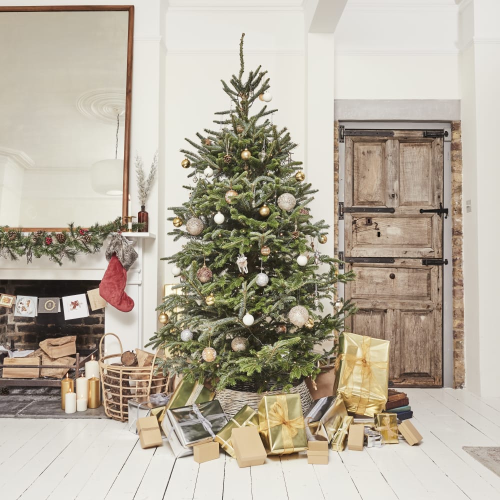 Hoover Christmas Tree Lighting 2022 Shop For Large &Amp; Real Christmas Trees In London Online Today | Patch |  Patch