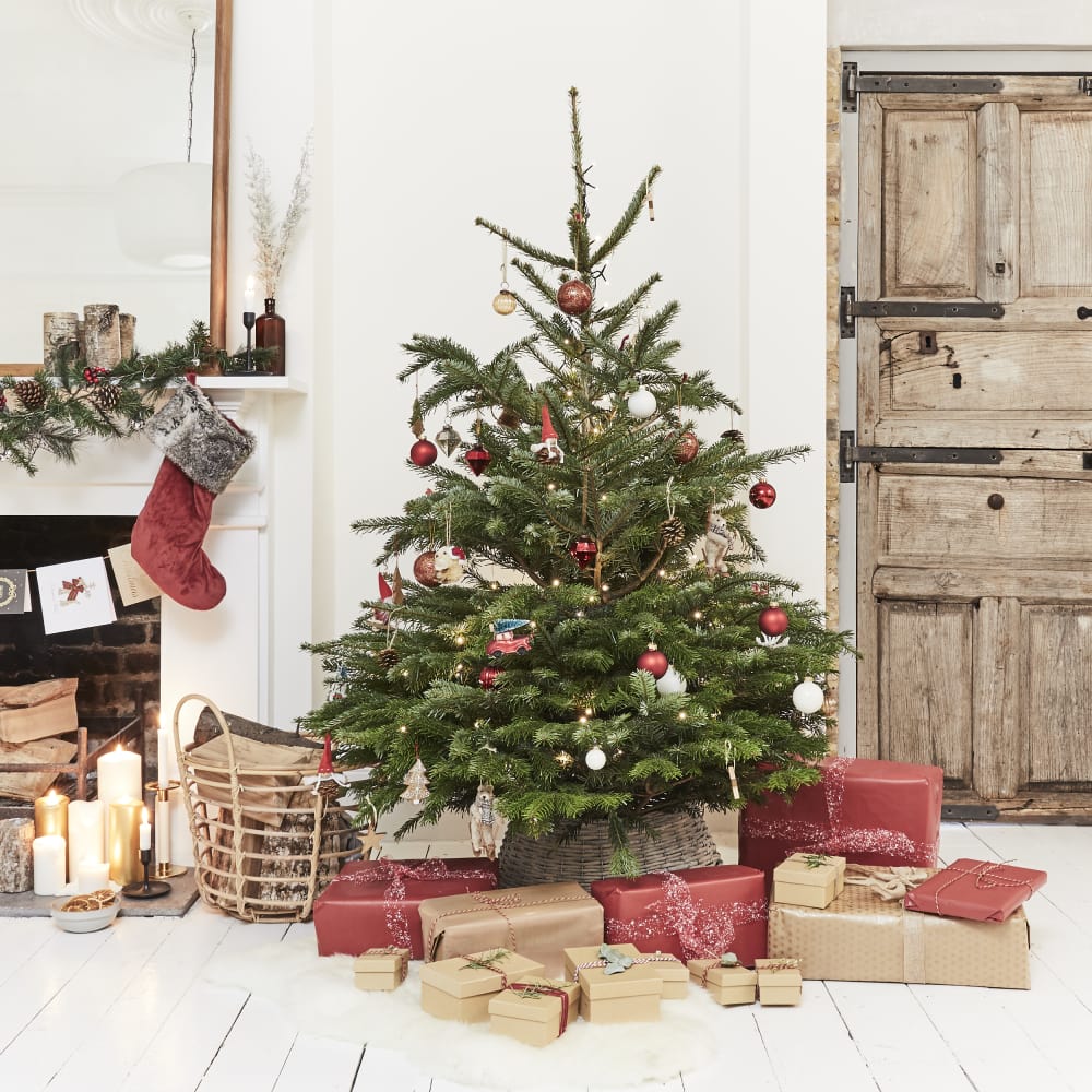 Shop for medium & real Christmas trees in London online today | Patch ...