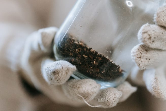 A close-up of a person wearing gloves holding a glass jar of soil