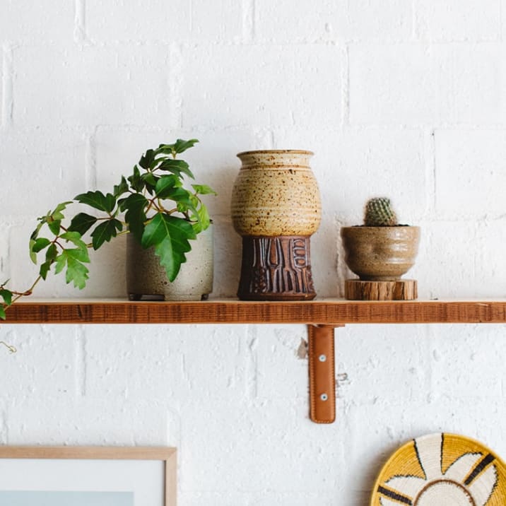 A trailing plant on a kitchen shelf in a concrete pot