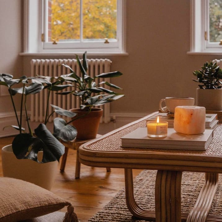 Monstera and succulent plants in a living room