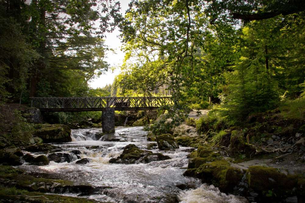 A wide river is rushing round rocks, with trees on both sides of the river. An old metal bridge goes across the river in the background of the image.