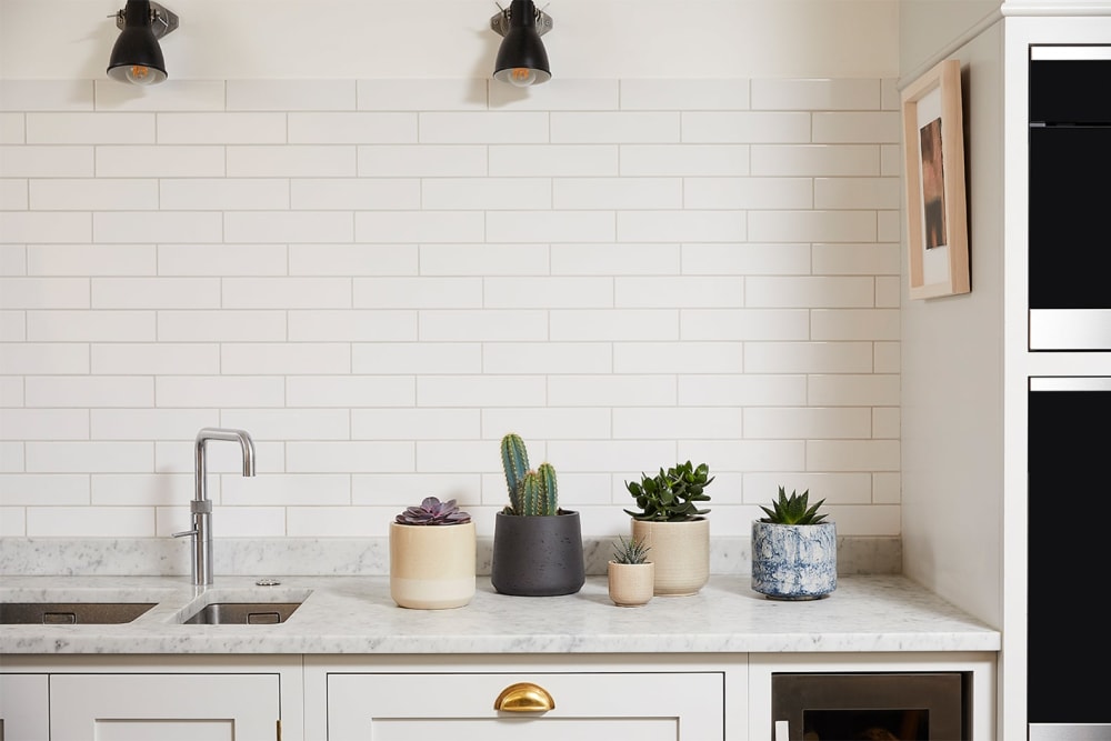 A group of cacti and succulents in a range of fracture-patterned and dip-patterened decorative pots on a kitchen counter