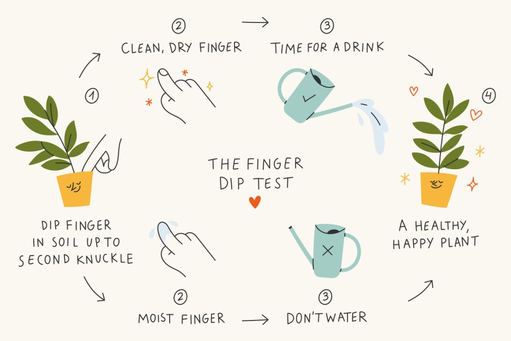 Illustrated diagram of the Patch finger dip test