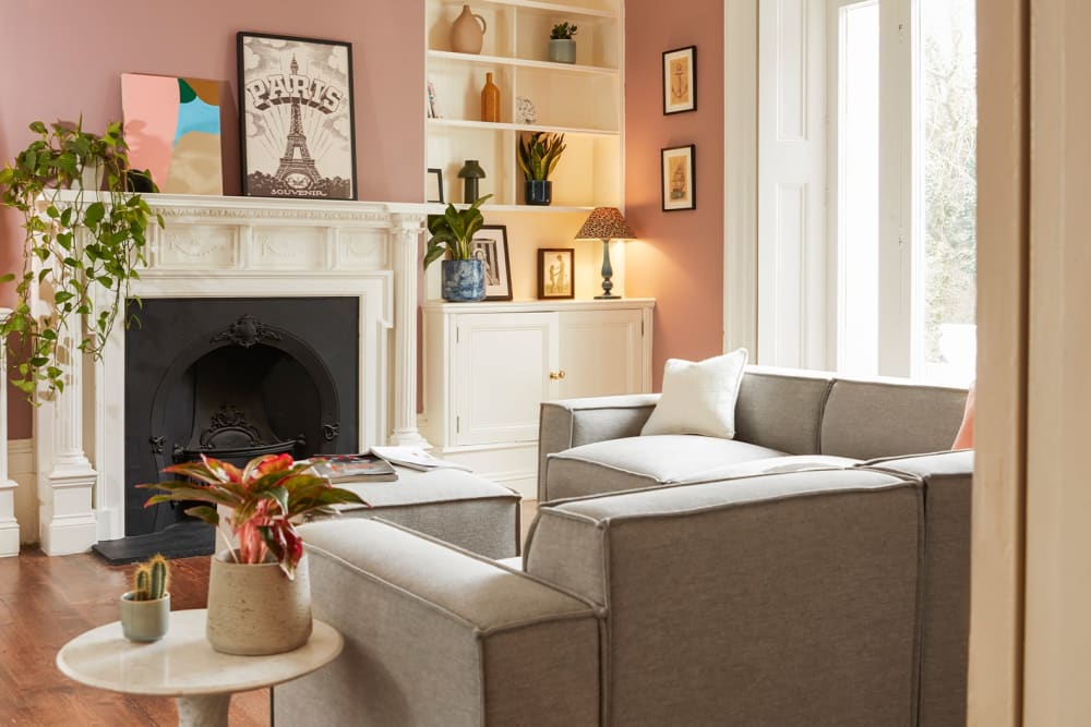 A devil's ivy, cactus, peace lily, snake plant, succulent and red Chinese evergreen arranged around a living room on shelves, a side table and a mantlepiece