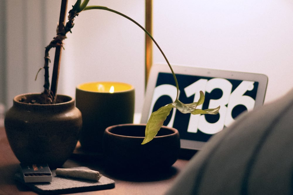 A drooping plant on a bedside table in a dark bedroom