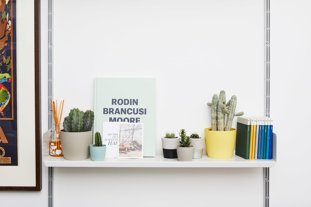 Selection of small cacti on a shelf above a desk