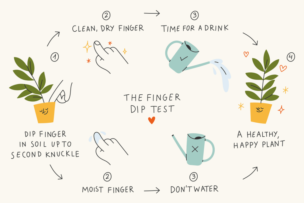 Illustrated diagram of the finger dip test