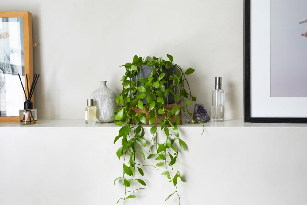 String of nickels in a black clay pot on a shelf in a bathroom