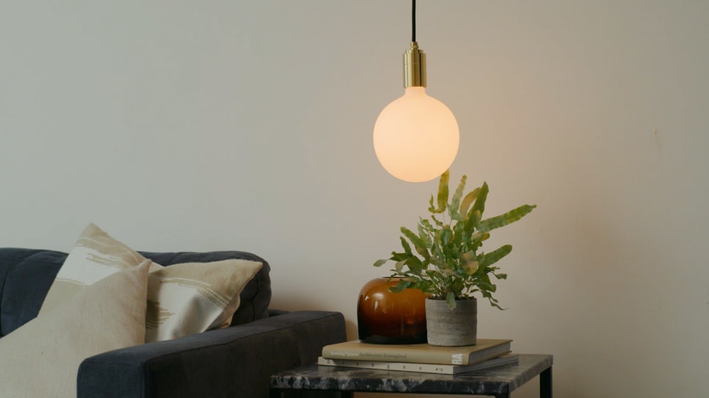 Blue star fern in a living room on a side table with a hanging orb bulb