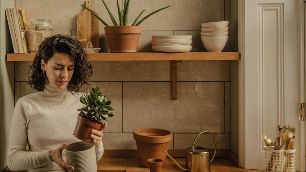 Woman in a kitchen holding a succulent