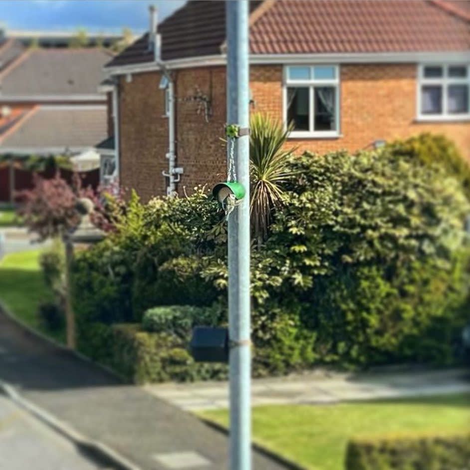 A photo of a Bluetit sat on the flutter butter feeder which is attached to lamp post