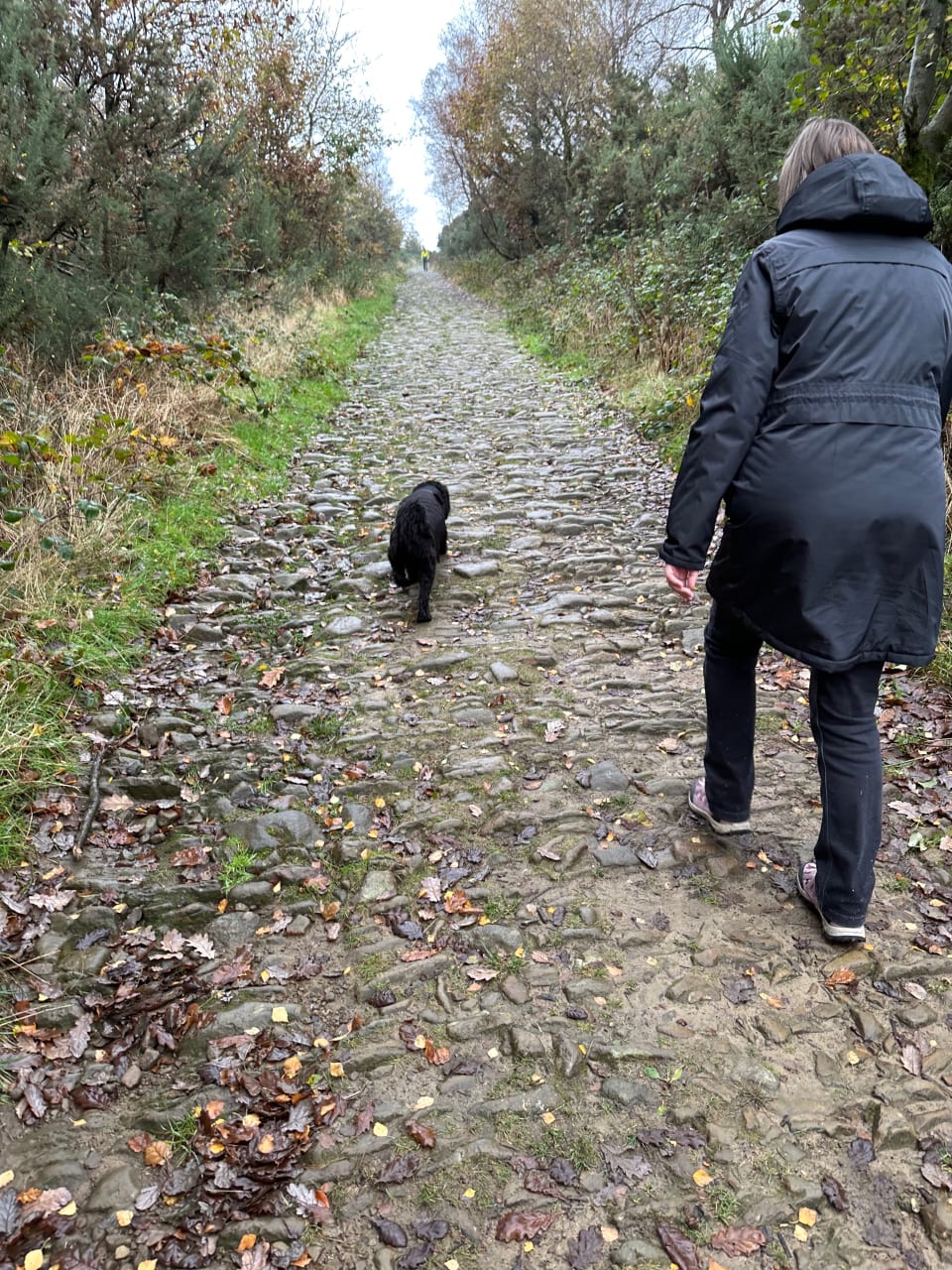 Ted and Gillian climbing a very high cobbled hill in the rain. 