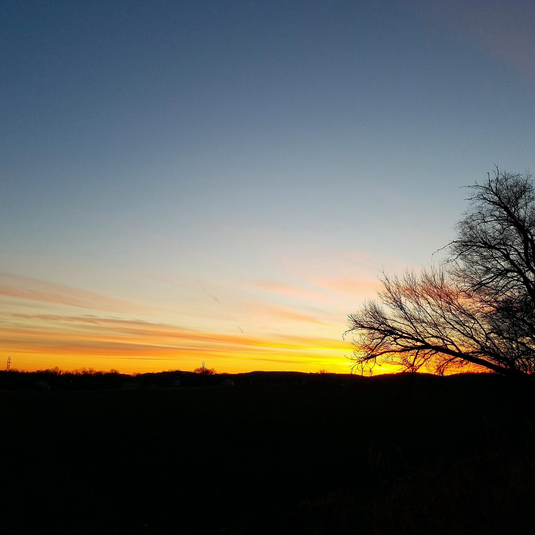A tree stands dark infront of a firey sunset