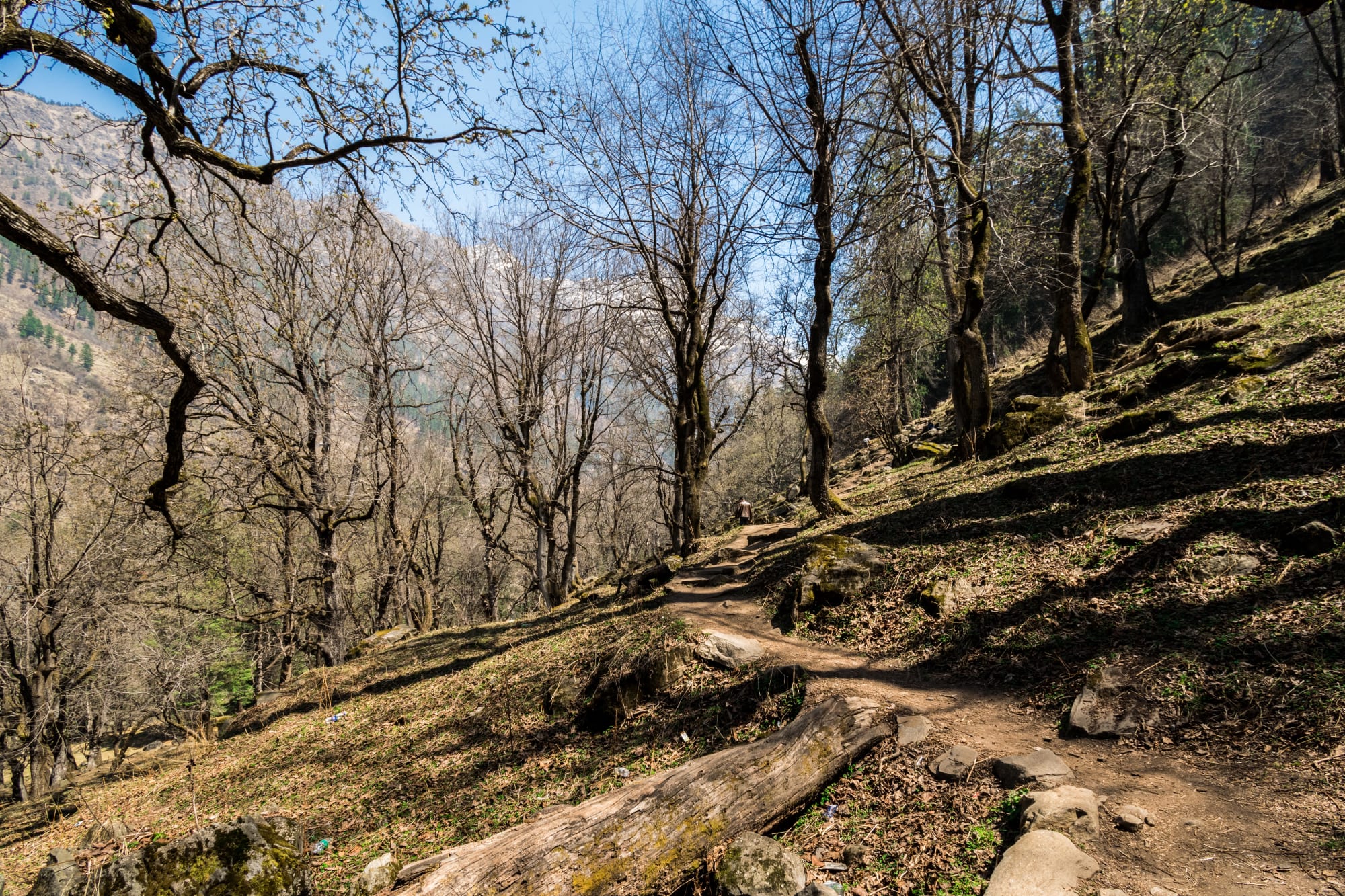 Mesmerizing view throughout the trek to Kheerganga