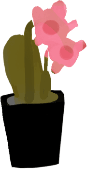 květina pěstovaná v květináči