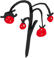 trs jahod vyrostlých na zahradě