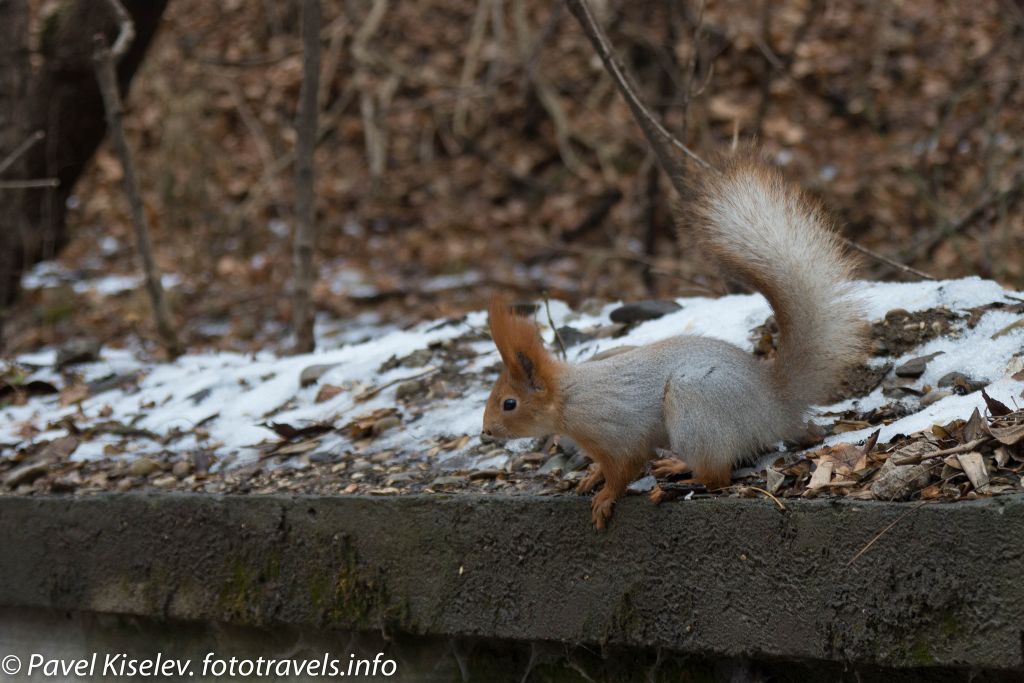 Кавказские минеральные воды, Кисловодск, Россия