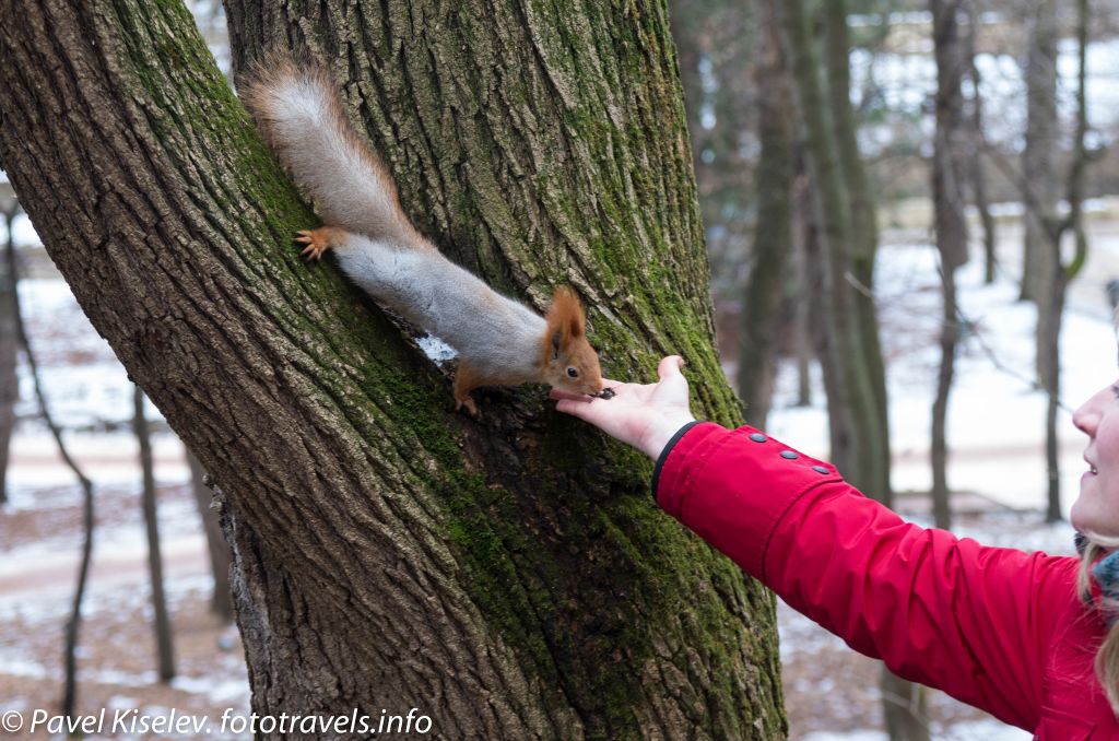 Кавказские минеральные воды, Кисловодск, Россия