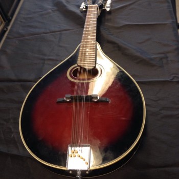 Bestler Mandolin 