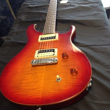 SE Custom guitar 