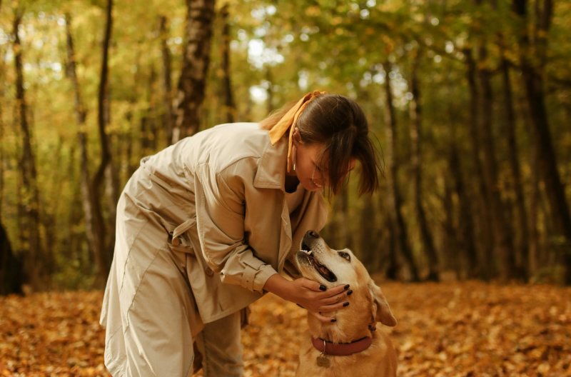 a dog owner is petting her dog in a wooded off leash area