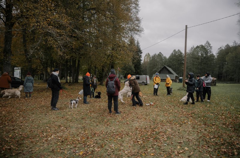 Dog owners gathered around at a dog park enjoy conversation and watching their pups play with their friends at the park