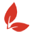 Gallup Certified Clifton Strengths Coach