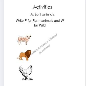 https://res.cloudinary.com/paystack/image/upload/f_auto,q_auto/w_350,c_limit/public/files/products/680qm53131o2xj095ac9.png