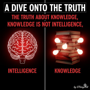 https://res.cloudinary.com/paystack/image/upload/f_auto,q_auto/w_350,c_limit/public/files/products/ouz53j3nw2x4bokldr55.jpg