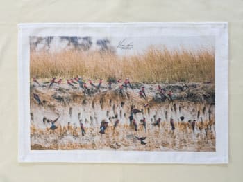 https://res.cloudinary.com/paystack/image/upload/f_auto,q_auto/w_350,c_limit/public/files/products/qqu8hcra8wp12oee1v6x.jpg