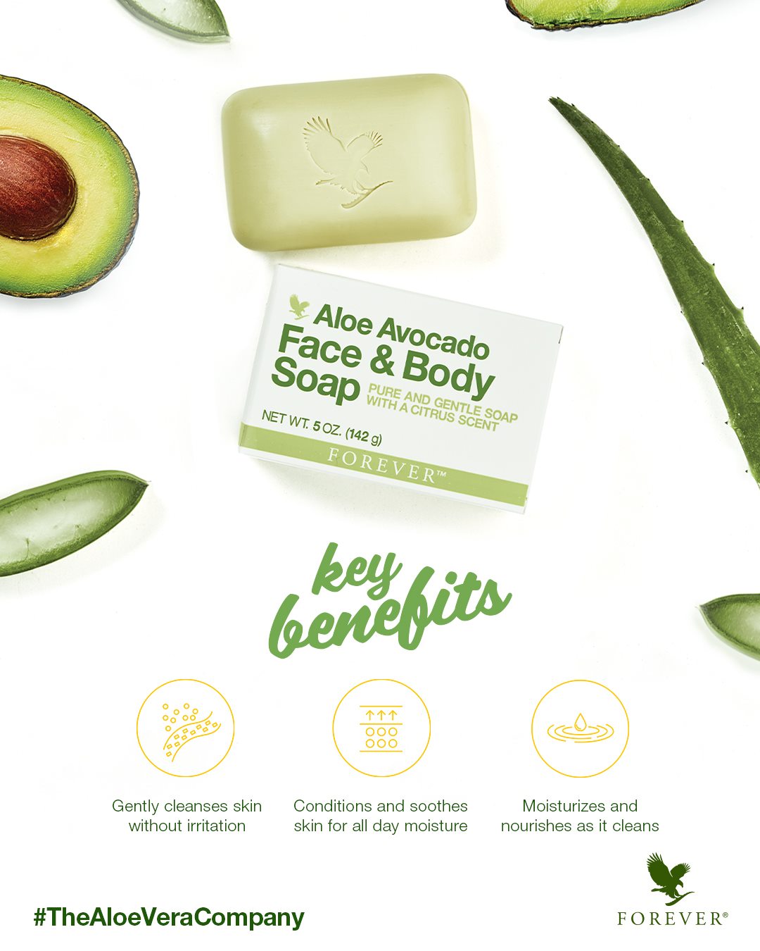 Aloe Avocado Face & Body Soap