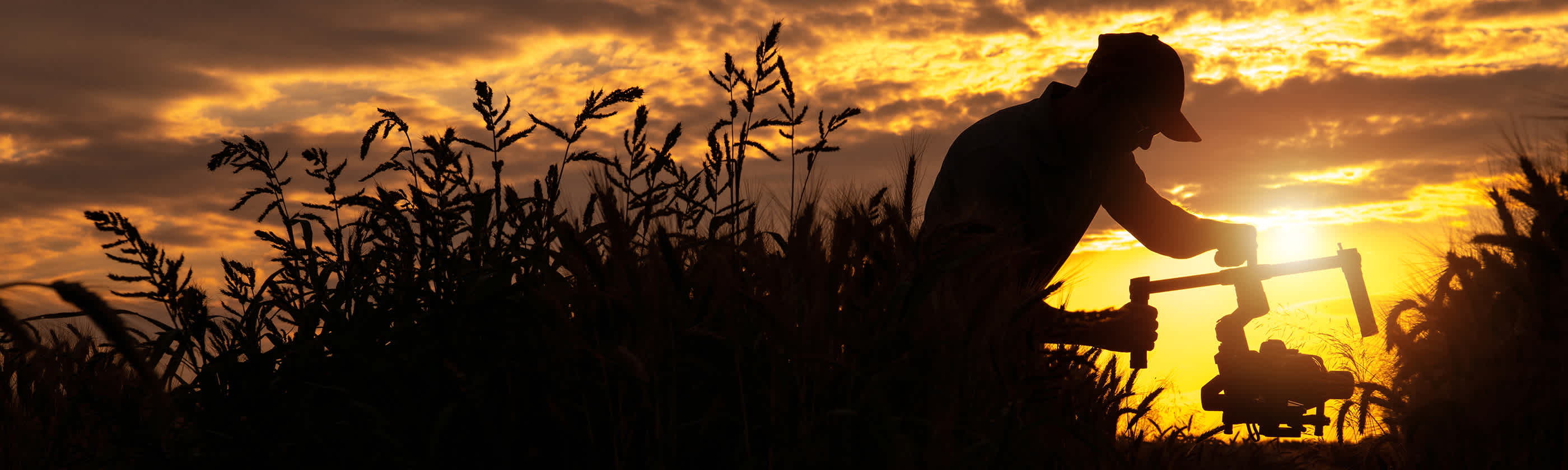 Agriculture in Hungary: farming smarter for future growth