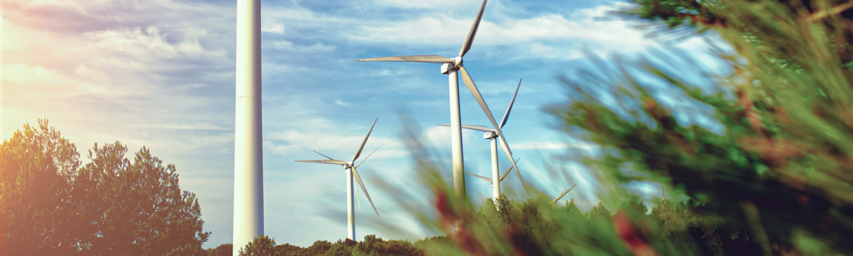 Sustainability